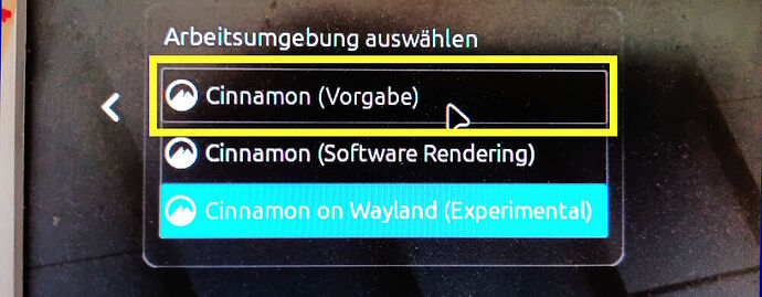 Cinnamon_Display-Server-umstellen-03