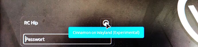 Cinnamon_Display-Server-umstellen-02