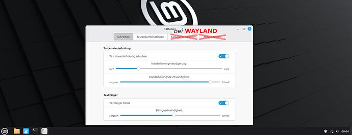 LM-Einstellungen-Tastatur_Fehler-Wayland_p1